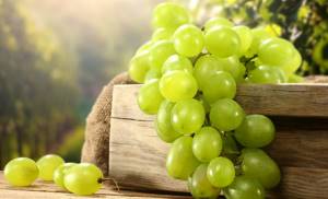 можно ли виноград при кормлении грудью