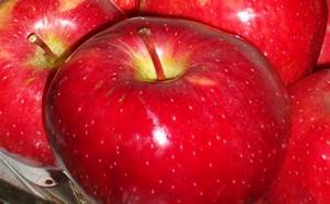 яблоки при грудном кормлении